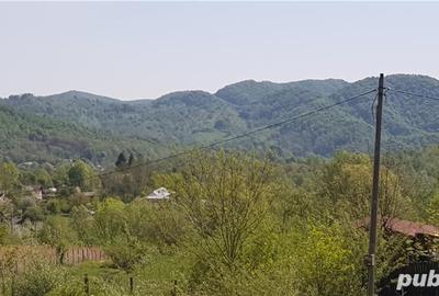 Teren de 2070 mp, în Vârfuri - 5