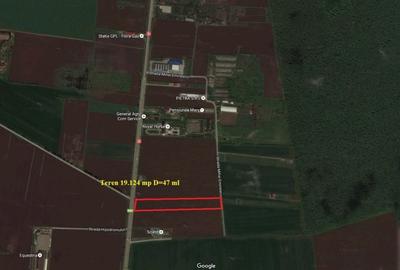 Teren agricol intravilan de 19124 mp, în Tâncăbești - 2