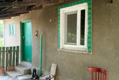 Casă cu Teren 4800 Mp în Mihail Kogălniceanu - 3