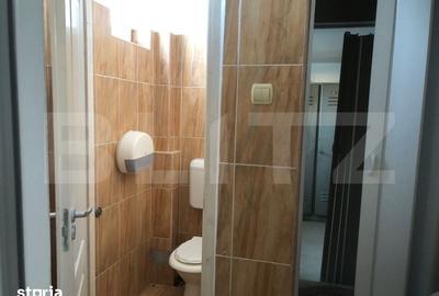 Spațiu comercial, de 265 mp, în Palas