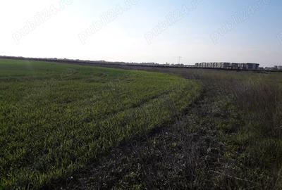 Teren de 10000 mp, în Giurgiului - 2