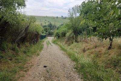Casă cu 2 camere cu Teren 1800 Mp în Lunca - 6