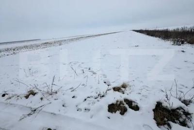 Teren de 9000 mp, în Central - 3
