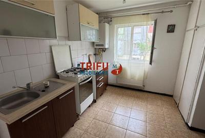 Apartament cu 2 camere semidecomandat în Cetate - 8