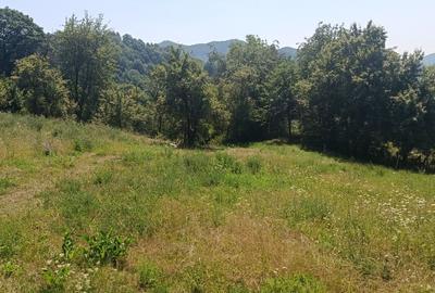 Casă cu 4 camere în Copăceni