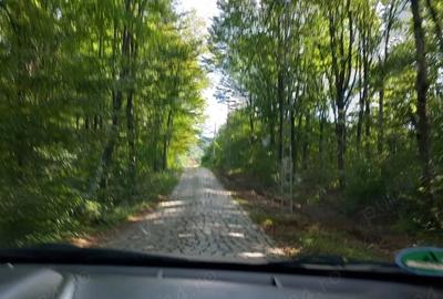 Teren de 11510 mp, în Marginea - 7