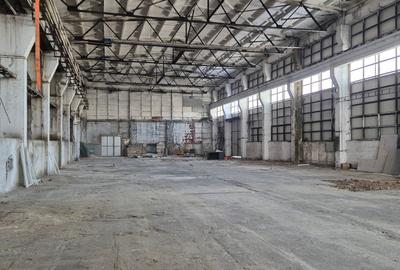 Spațiu industrial, de 30,000 mp, în Sud - 2