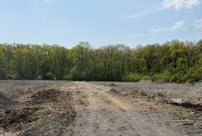 Teren Construcții intravilan de 500 mp, în Tunari - 6