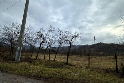 Teren în Măgura - 1