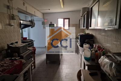 Casă individuală cu 8 camere cu Teren 4500 Mp în Măgura - 14