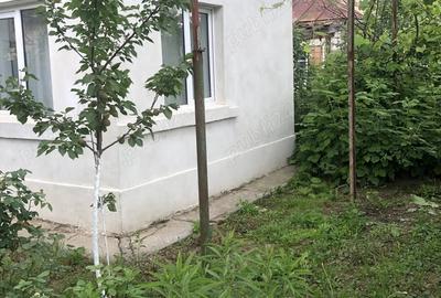 Teren de 246 mp, în Căldăraru - 8