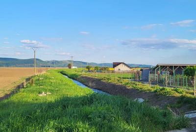 Teren de 5760 mp, în Letea Veche