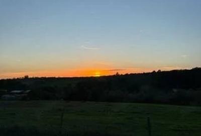 Teren de 6000 mp, în Sălciua Nouă - 1