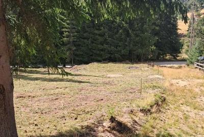Teren de 6700 mp, în Mărișel