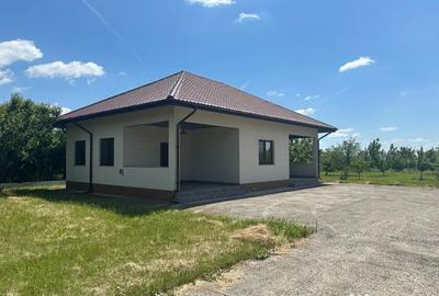 Casă cu 2 camere cu Teren 7310 Mp în Bechinești
