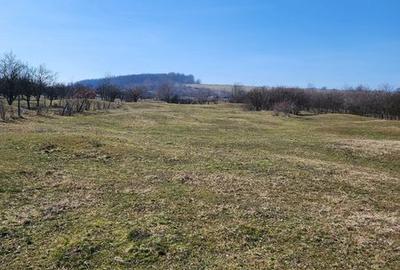 Teren de 4000 mp, în Pianu - 6