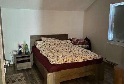Casă cu 5 camere cu Teren 1000 Mp în Peciu Nou
