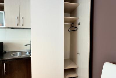 Apartament cu 2 camere semidecomandat, mobilat în Lizeanu - 10