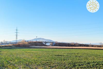 Teren intravilan de 22800 mp, în Prejmer