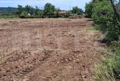 Teren de 2531 mp, în Radovan - 5