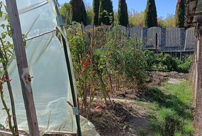 Casă cu 5 camere cu Teren 700 Mp în Goranu