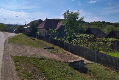 Casă cu 3 camere cu Teren 2900 Mp în Moișa - 3