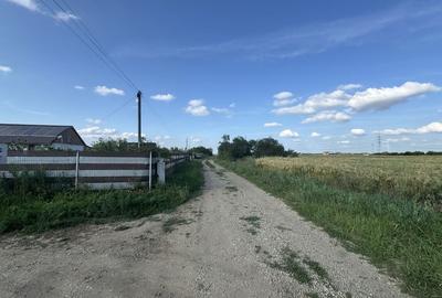Teren de 9300 mp, în Pruni - 11