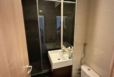 Apartament cu 2 camere semidecomandat, mobilat în Colentina - 6