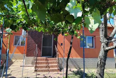 Casă cu 2 camere cu Teren 300 Mp în Lumina - 2