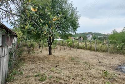 Casă cu 3 camere în Scăești - 6