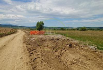Teren agricol extravilan de 1800 mp, în Avrig - 6