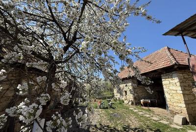 Casă cu 4 camere cu Teren 470 Mp în Podeni - 6