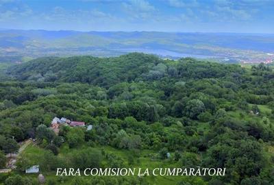 Teren Construcții intravilan de 1500 mp, în Priba - 9