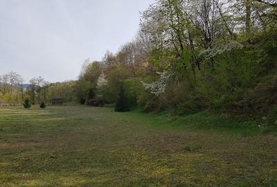 Teren de 9000 mp, în Pângărați