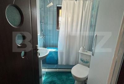 Casă cu 6 camere cu Teren 1530 Mp în Ciugud