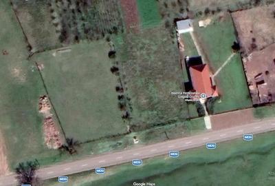 Teren de 1440 mp, în Cruceni - 3