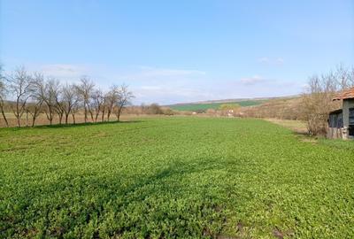 Teren Construcții intravilan de 3550 mp, în Răscruci - 1