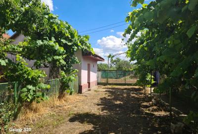 Casă cu 3 camere cu Teren 1700 Mp în Cebza - 5