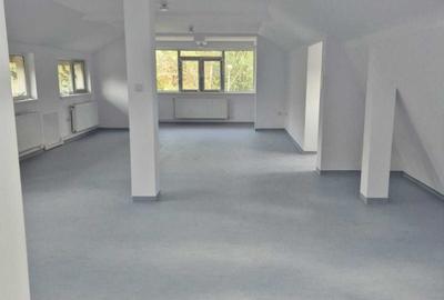 Spațiu comercial, de 280 mp, în Central - 6