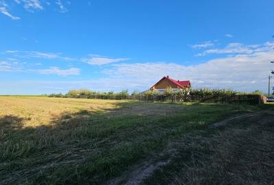 Teren de 11000 mp, în Lăceni - 1