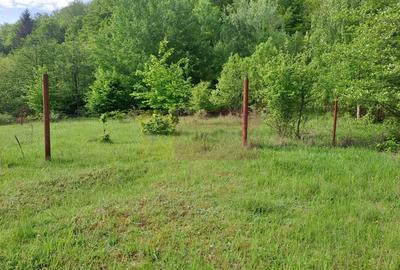 Teren de 834 mp, în Berevoești - 6
