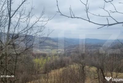 Teren în Schiulești - 11