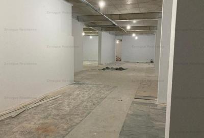 Spațiu comercial, de 390 mp, în Păcii - 10