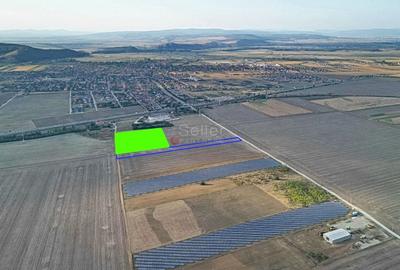 Teren Construcții intravilan de 11786 mp, în Hărman - 3
