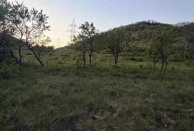 Teren de 4647 mp, în Cozia