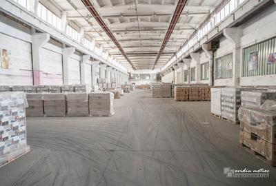 Spațiu industrial, de 9,500 mp, în Central