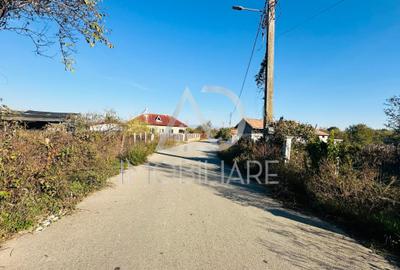 Teren intravilan de 3500 mp, în Drăguțești - 4