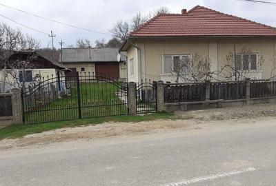 Casă cu 3 camere în Cristolț