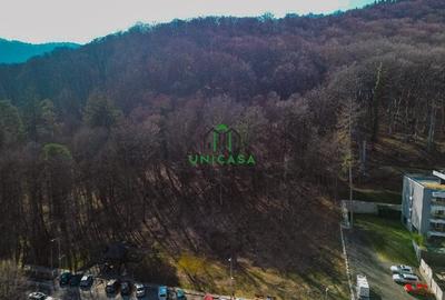 Teren Construcții intravilan de 3172 mp, în Căciulata - 2