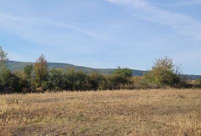 Teren de 11030 mp, în Chițoc - 2
